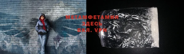 PSILOCYBIN Майский