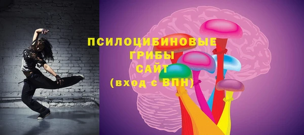 ГАЛЛЮЦИНОГЕННЫЕ ГРИБЫ Богородицк