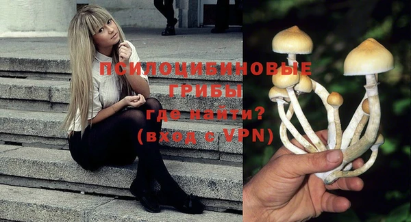 MDMA Верхний Тагил